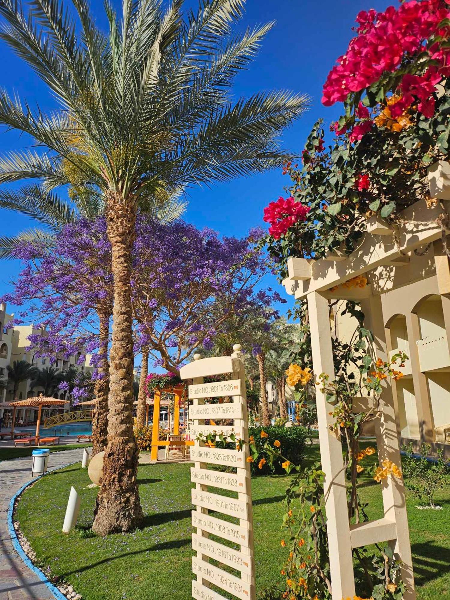 Comfortable Studio In Hotel Karma With Private Beach And Pools Family Only Or Female Χουργκάντα Εξωτερικό φωτογραφία