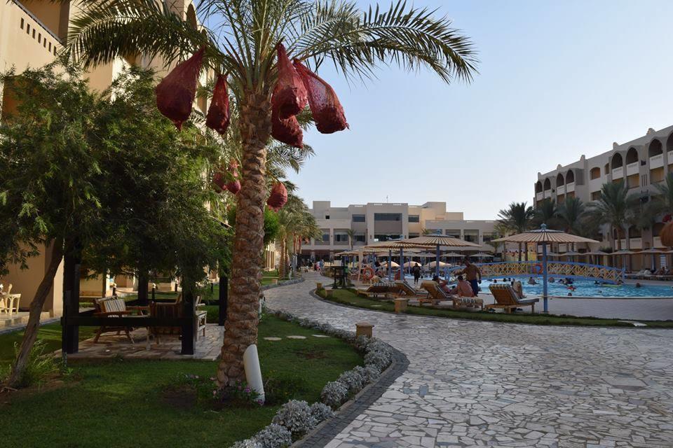 Comfortable Studio In Hotel Karma With Private Beach And Pools Family Only Or Female Χουργκάντα Εξωτερικό φωτογραφία